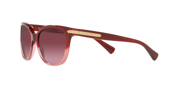 Coach HC8132 55518H L109 